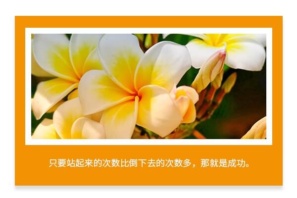 在職考研培訓(xùn)