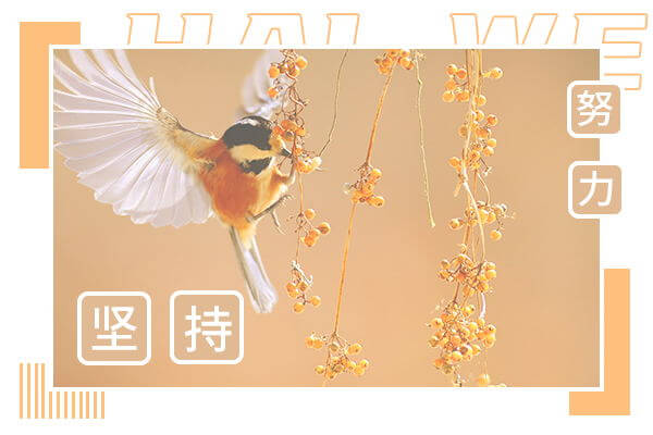 在職考研培訓(xùn)