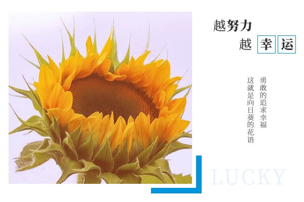 在職考研培訓(xùn)