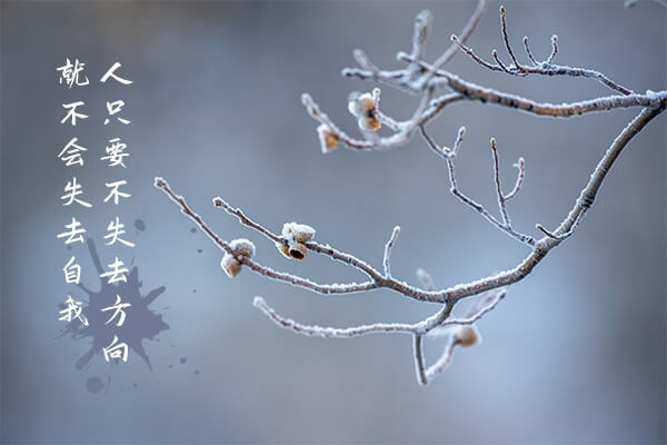 在職考研培訓(xùn)