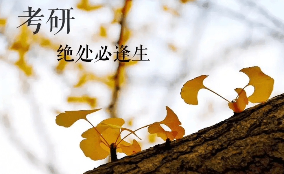 在職考研培訓(xùn)