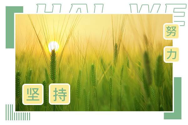 在職考研培訓