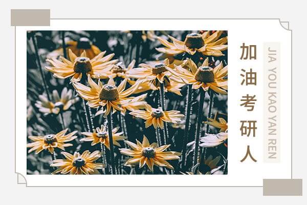 在職考研培訓(xùn)