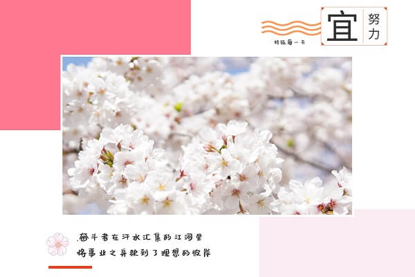在職考研培訓